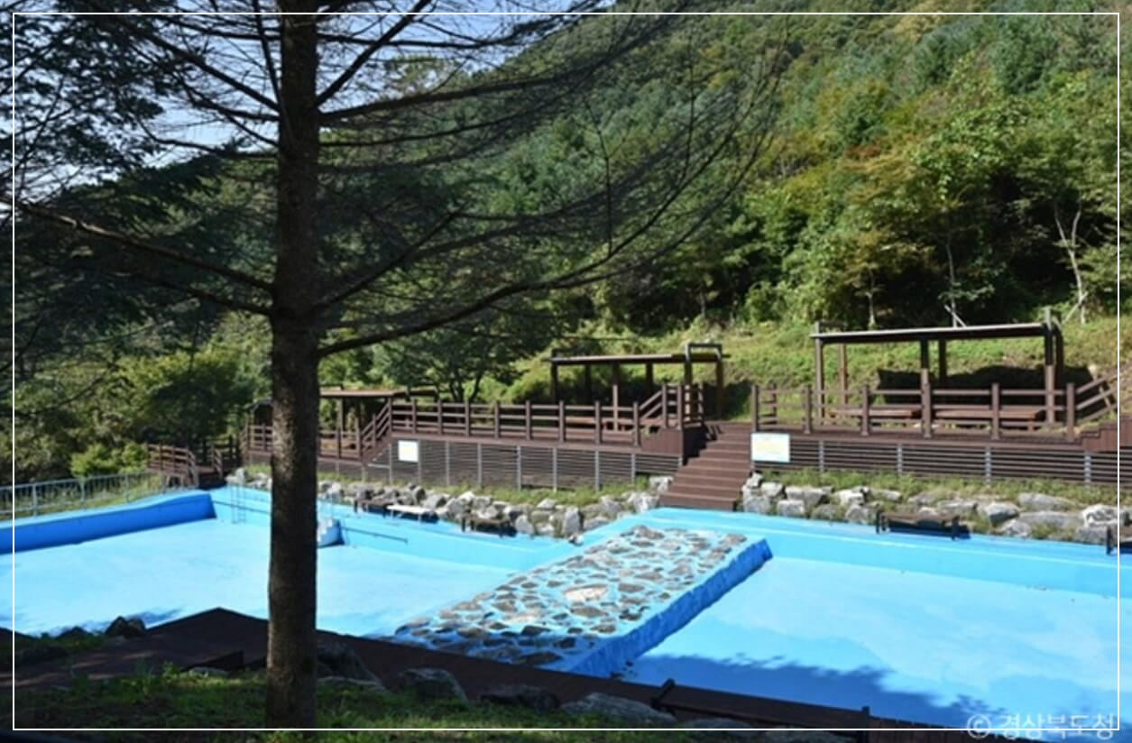 의성 가볼만한곳 베스트10 금봉자연휴양림