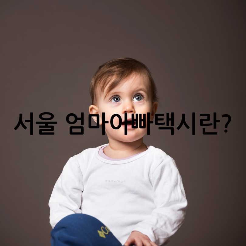 서울 엄마아빠택시