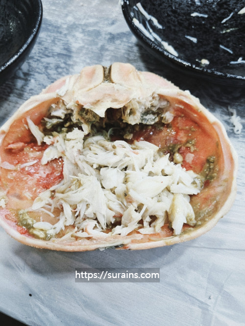 강구항 대게 영덕 맛집 청담대게 내돈내산 직접 후기