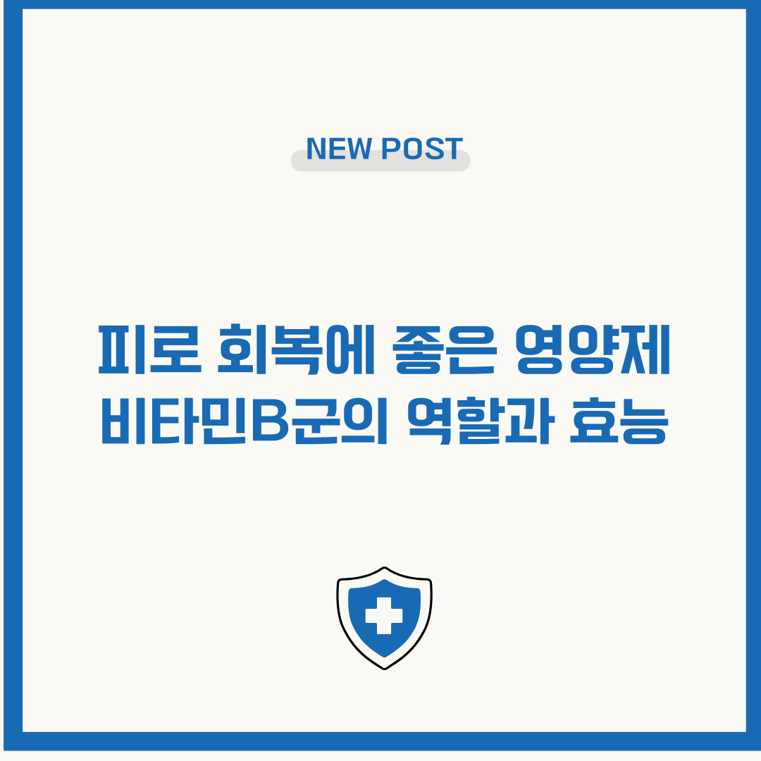 피로 회복에 좋은 영양제 비타민B군의 역할과 효능