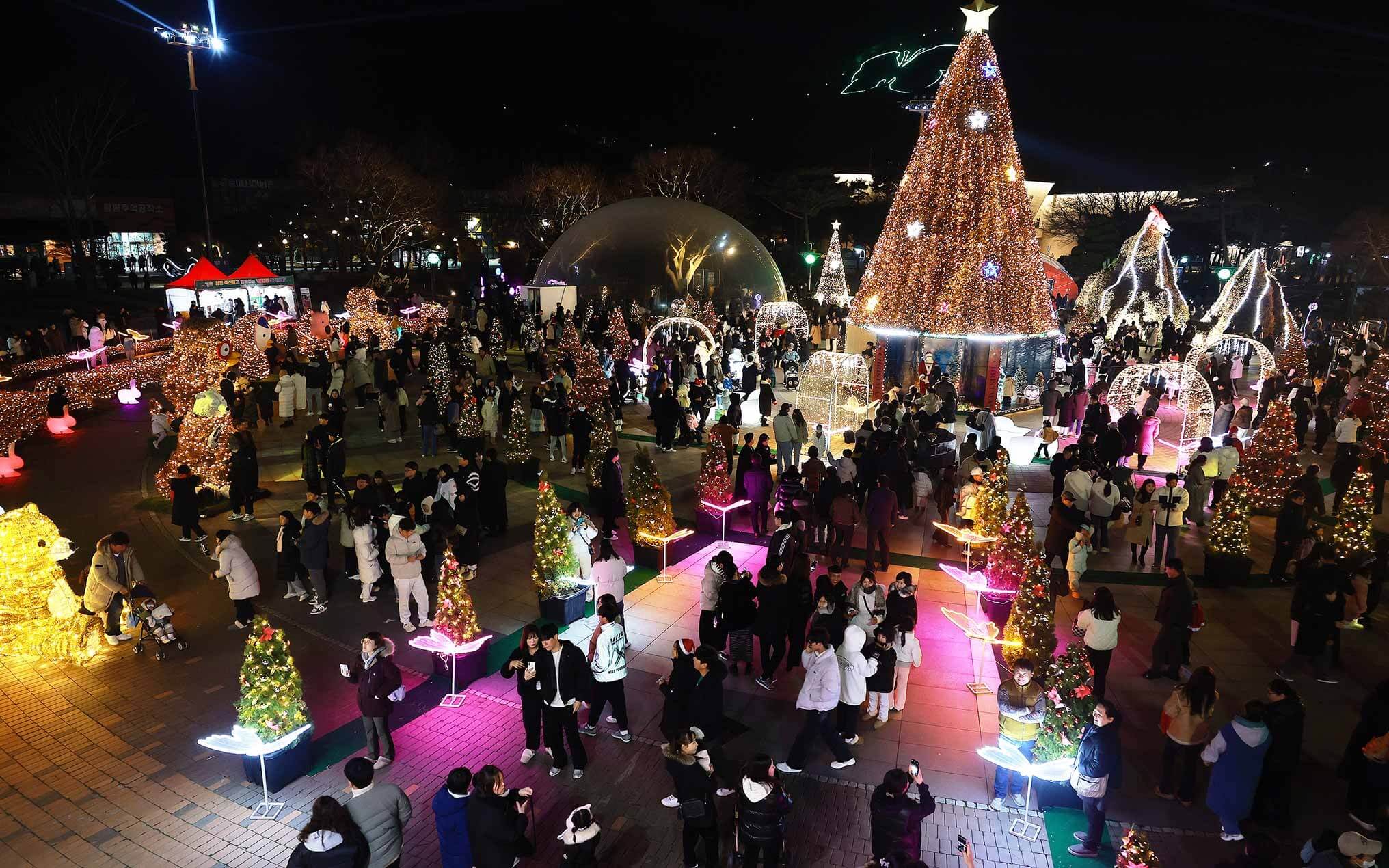 2025 함평 겨울빛축제