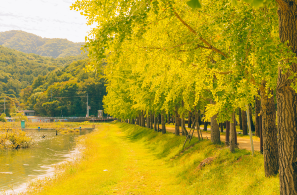 괴산 김장축제 주변 명소 가볼 만한 곳