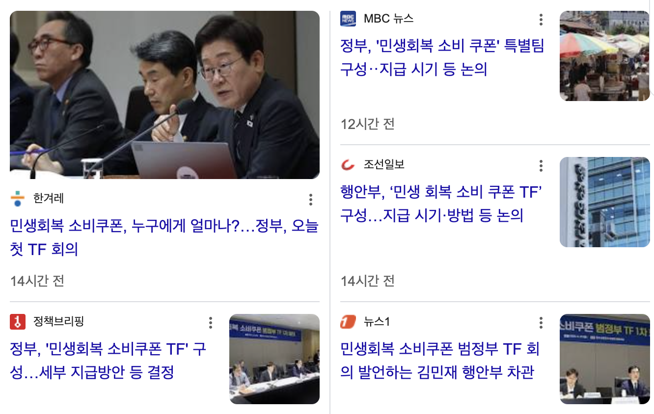 민생회복-소비쿠폰-관련-기사