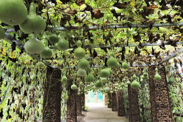 국립 백두대간수목원