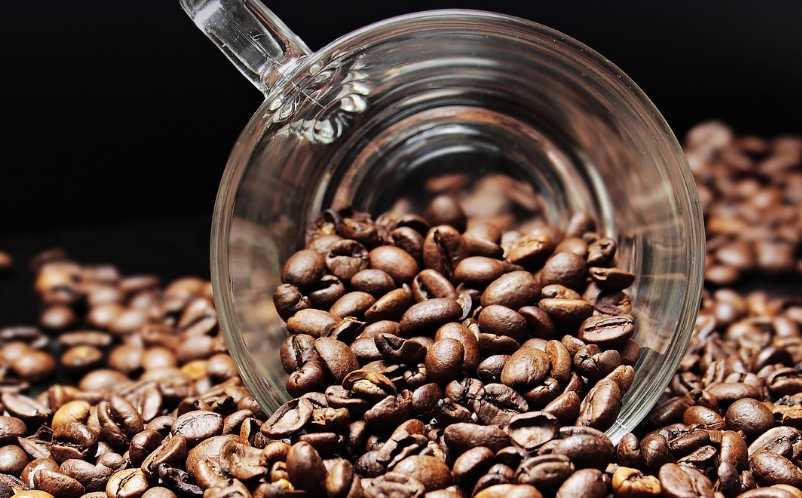 커피보다 카페인이 더 많다?! 카페인 많은 식재료 TOP5