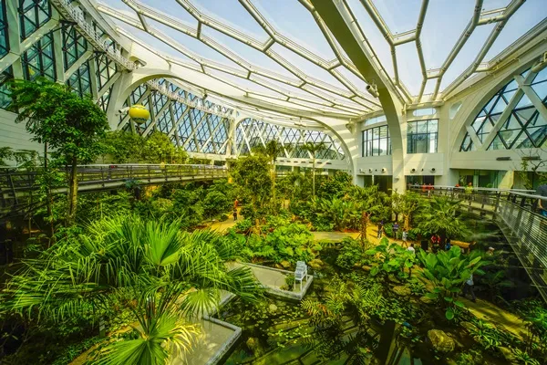 실내정원 꾸미기 화분선택 배치요령 물주기 통풍 어르신도 쉬운 동선_3