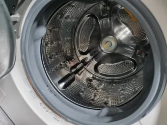 세탁기 청소 전문업체 비용 10만원 해결 후기 통돌이 세탁기 청소하는방법에 관해_19