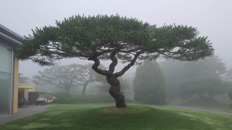 골프장 경험담 광주 더시에나서울cc 오랜 시간 수준 높은 명문의 자리를 지켜온 프레스티지 골프장