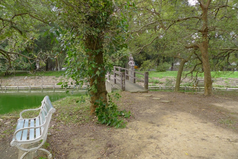 칭화대학교 풍경