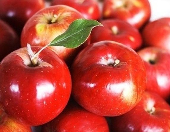 설사에 좋은 음식