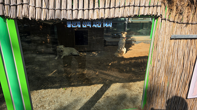 순천만국가정원 어린이 동물원 서문 순천여행 24년 11월 사진