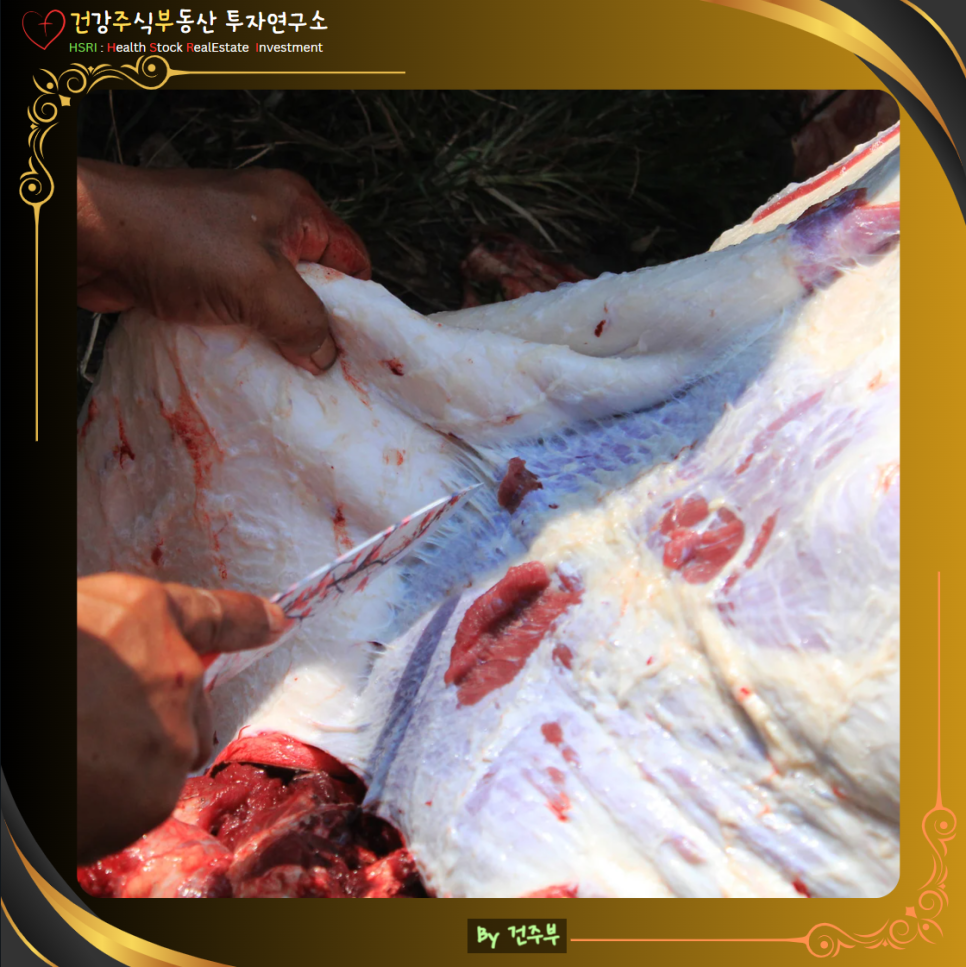 히브리서 9장 묵상 : 왜 하나님은 피의 제사를 명하셨는가?
(글 그림 : 건주부, 그림 출처 : Canva)