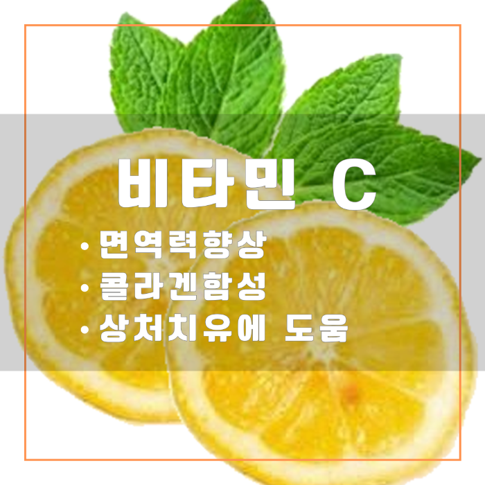 레몬- 비타민C