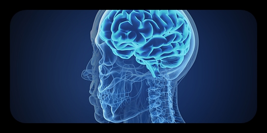 공황장애 이미지