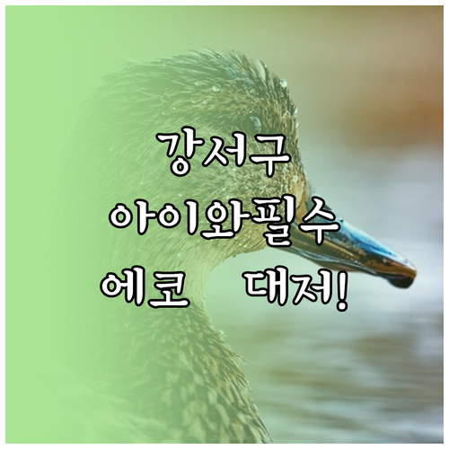 부산 강서구 아이와 가볼만한곳 을숙도..