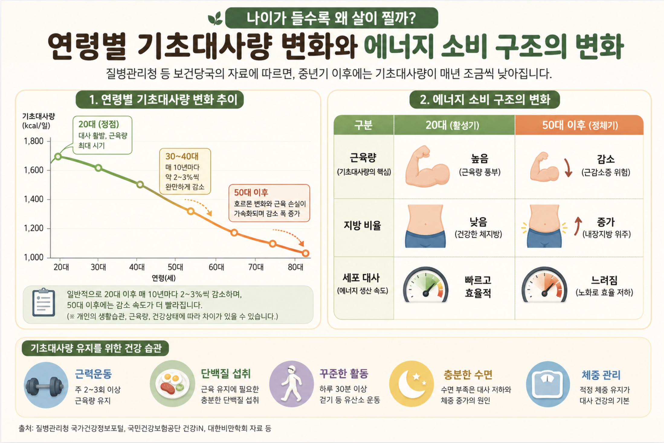 다이어트 보조제 종류와 성분 총정리 : 내 몸에 맞는 선택법