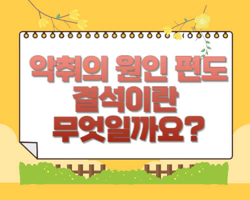 악취의 원인 편도결석이란 무엇일까요?