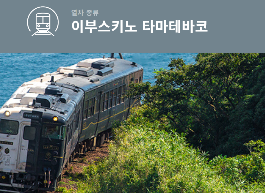 이브스키노 관광열차