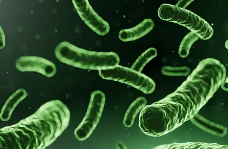 히알바이오틱스 고르는 법