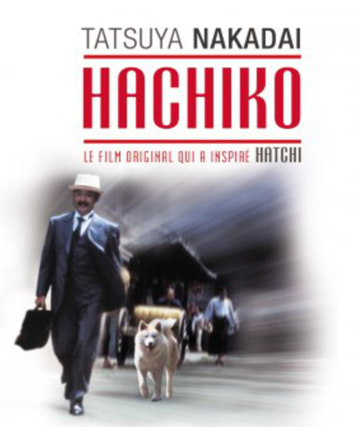 일본판 하치이야기