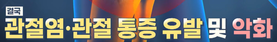 msm의 효능
