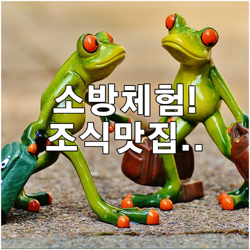 서산소방서 체험 프로그램 정보 및 조..