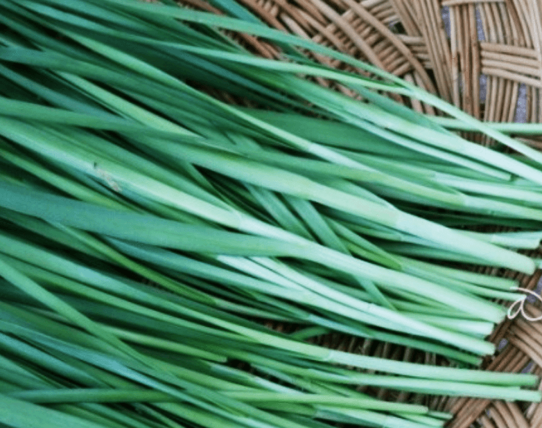 바구니에-담긴-부추