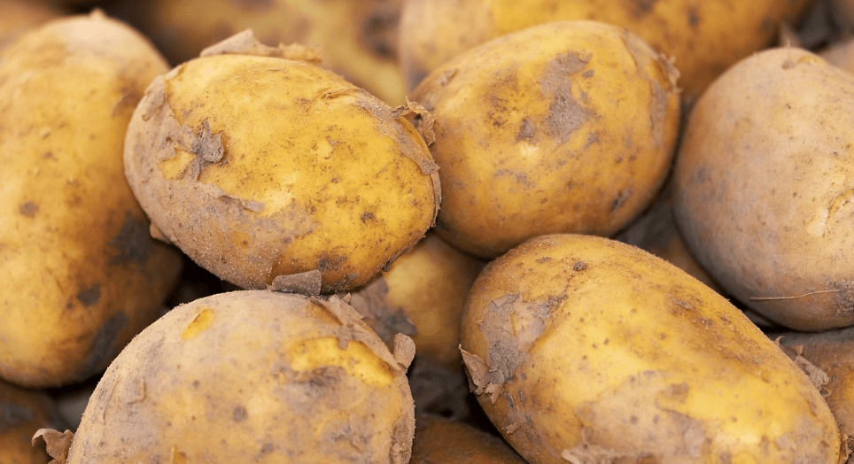 속쓰림에 좋은 음식 사진 - 2