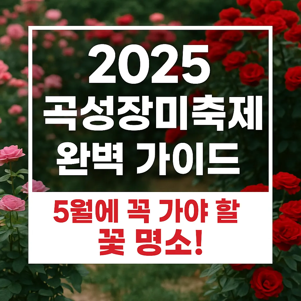 2025 곡성장미축제 완벽 가이드｜5월에 꼭 가야 할 꽃 명소!