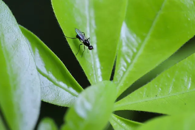 패혈증이란 무엇인지 원인 증상 치료 예방법_2
