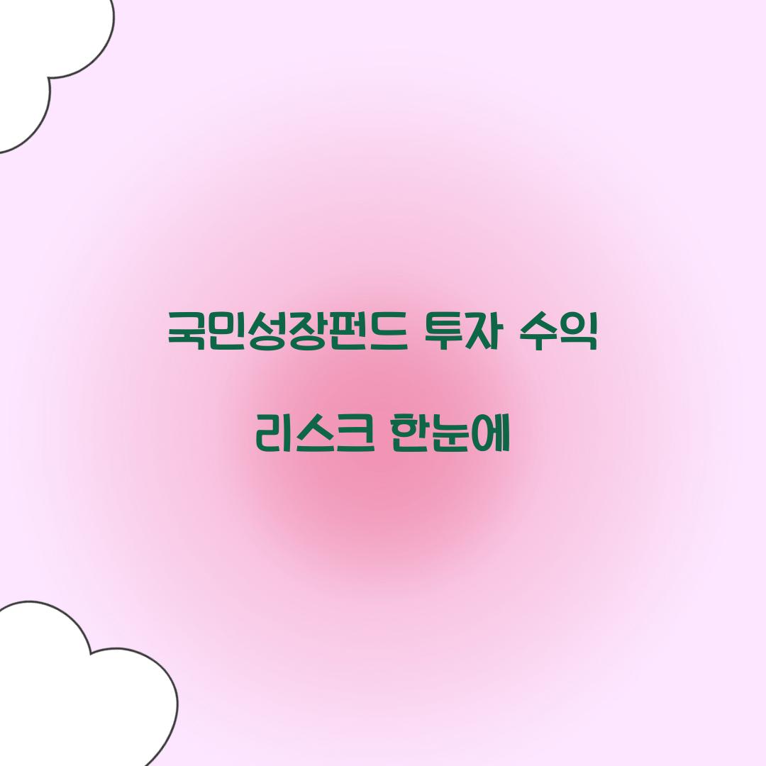국민성장펀드 투자