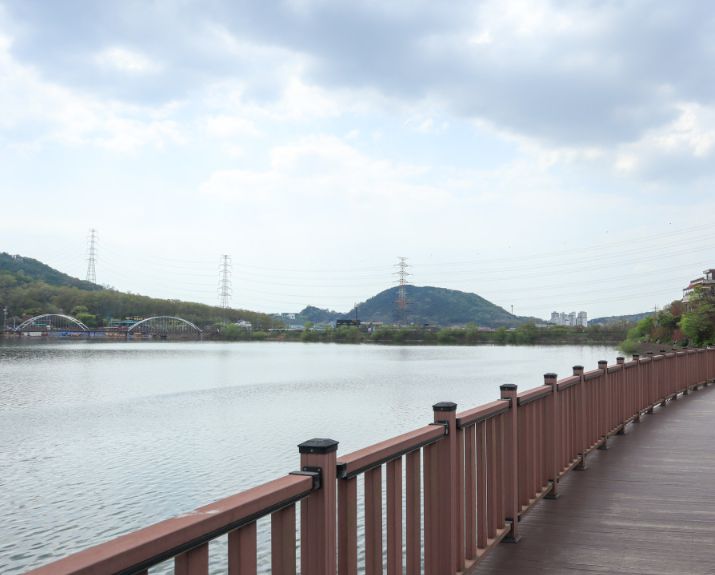 물왕호수