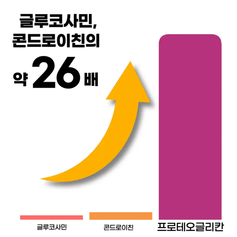 무릎관절영양제