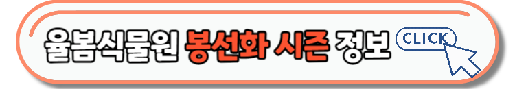전국 주말 날씨 & 주말여행지 추천