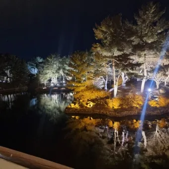 경주 야경 코스 대릉원 첨성대 걷기 지도 주차_13