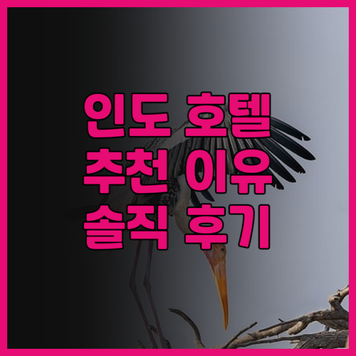 앰버서더 IHCL 셀렉션 뉴델리 후기..