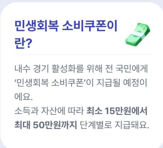 2025 민생 소비쿠폰 총정리 신청방법, 지급일, 사용처