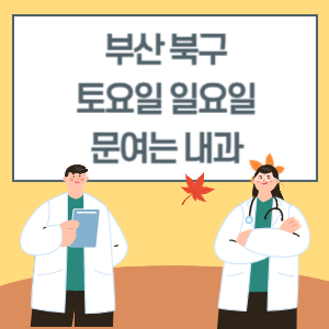 부산 북구 토요일 일요일 내과 진료 병원 리스트