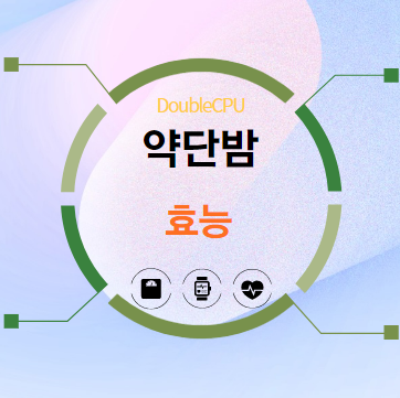 약단밤 효능 탐구