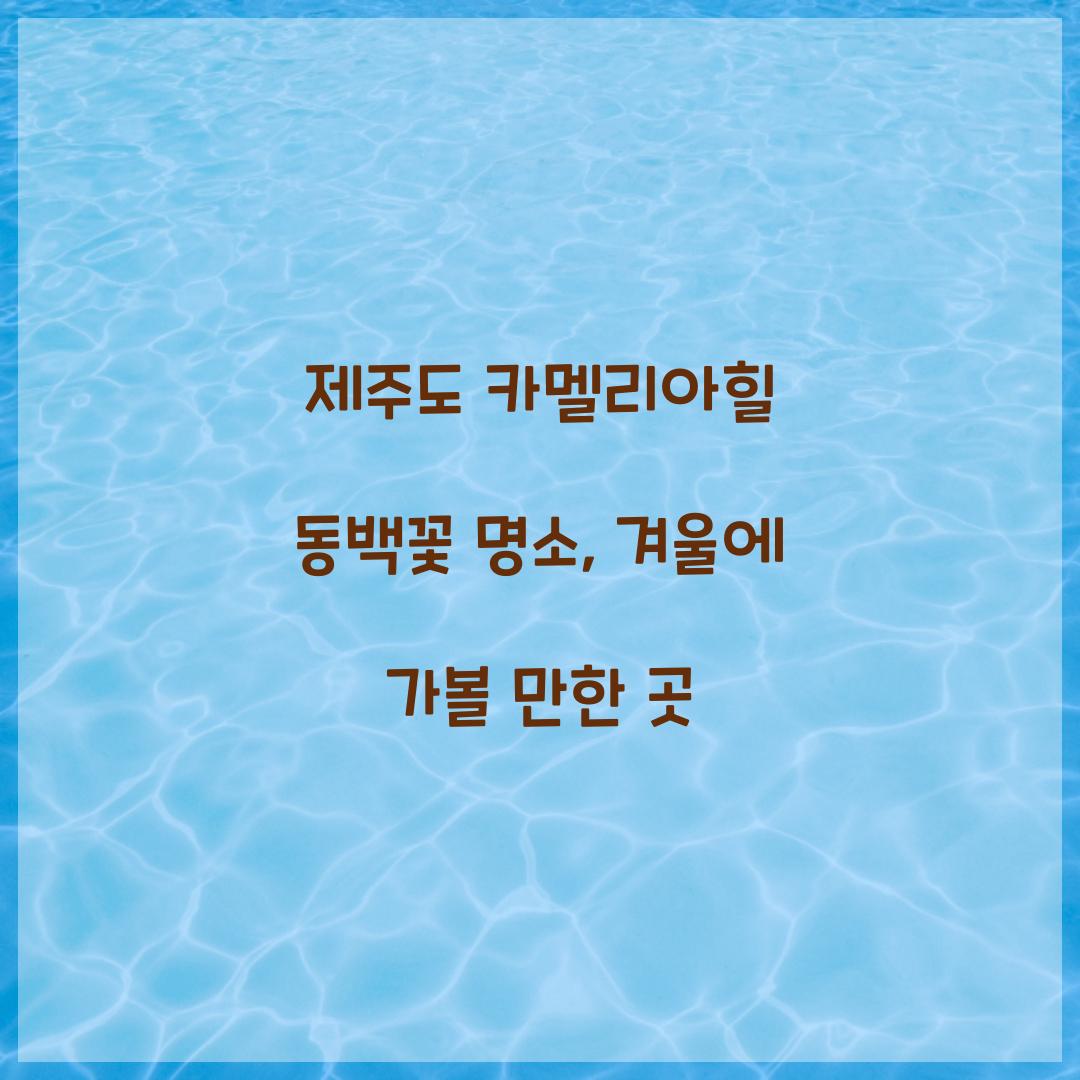 제주도 카멜리아힐 동백꽃 명소