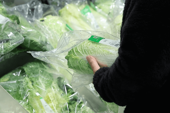 절임배추 대형마트별 할인 혜택 사전예약하기