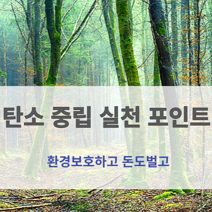 탄소중립실천포인트