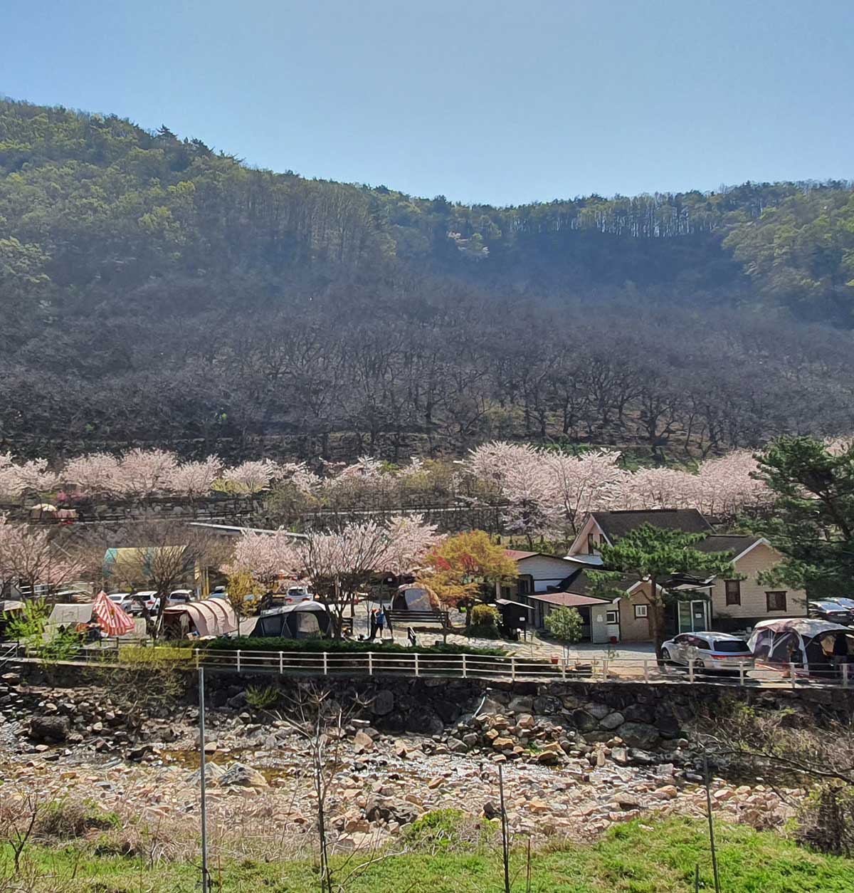 경남 무릉도원 오토캠핑장 소개