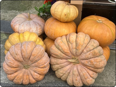 글루타치온 많이든 음식