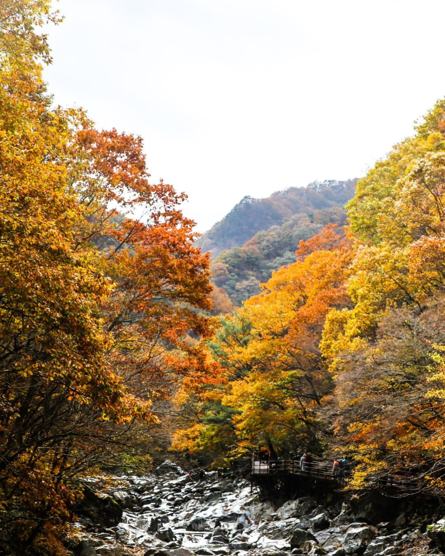 지리산 가을 숲 여행 꿀팁
