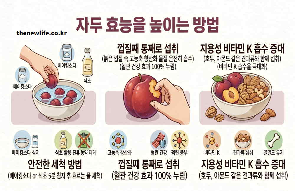 자두 효능 높이는 방법