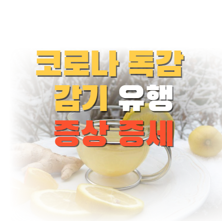 코로나 독감 감기 유행 증상 증세