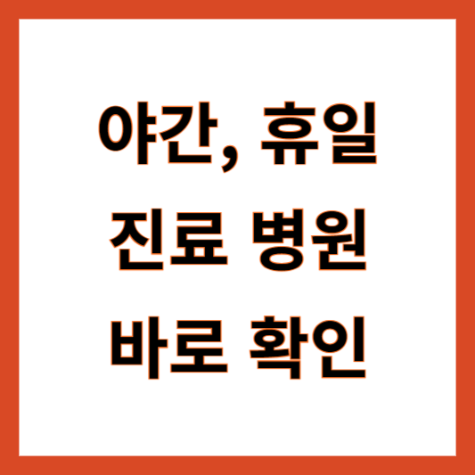 야간 주말 휴일 진료병원