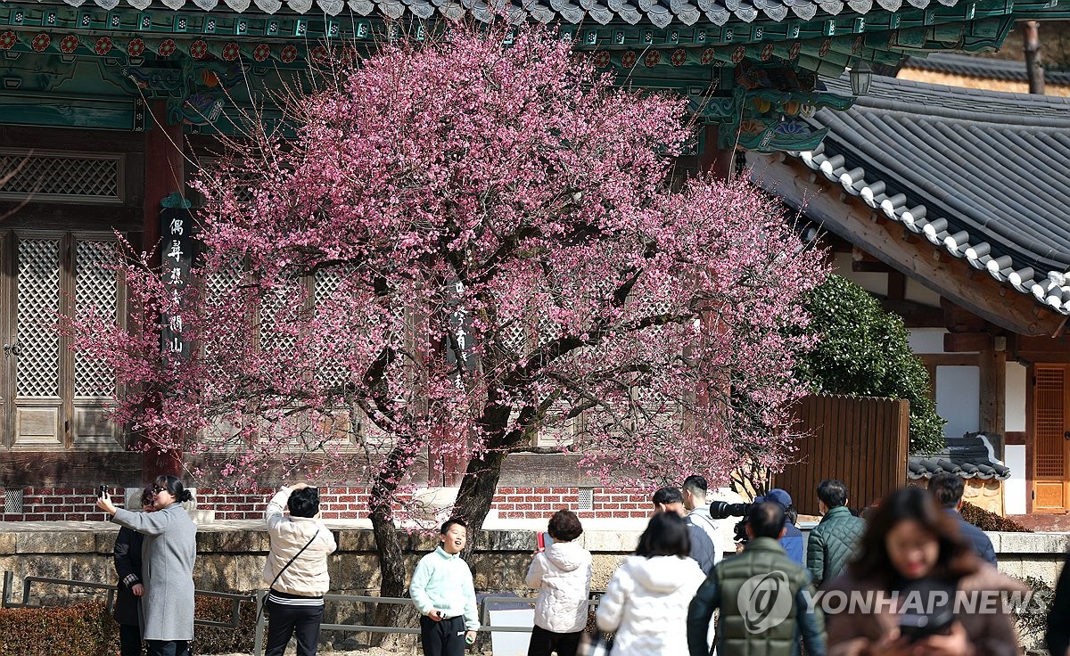 경남 양산 통도사에는 지금 &lsquo;우담바라 꽃이 피었다&rsquo;