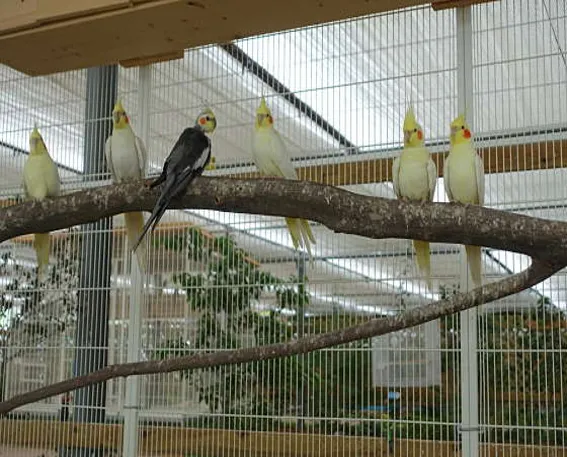 버드앤피쉬체험장